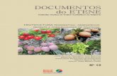 Fruticultura nordestina: desempenho recente e possibilidades de políticas 2007