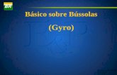 Basico gyro