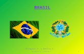 Brasil milagros vergara y emilia zelada correccion