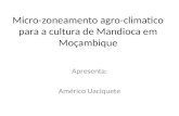 Micro zoneamento agro-climatico para a cultura de mandioca  em moçambique