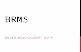 BRMS - Business Rules Management System