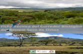 Ficha técnica del corredor biológico del bosque seco de ostúa