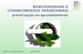 Biodiversidade e conhecimentos tradicionais: preservação ou aproveitamento