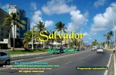 SALVADOR - 365 IGREJAS