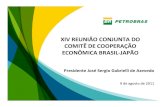 Petrobras - Perspectivas do Mercado Brasileiro
