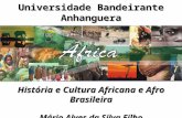 História e Cultura Africana - Aula 1 - O mundo muçulmano em África