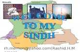 Welcome my SINDH