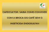 Palestra CAFEICULTOR: SAIBA COMO CONVIVER COM A BROCA-DO-CAFÉ SEM O INSETICIDA ENDOSULFAN  Araxa OuAbout 35º Congresso Brasileiro de Pesquisas Cafeeiras-t 2009