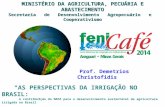 Fenicafé 2014 demetrios christofidis as perspectivas da irrigação no brasil