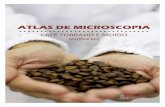 Atlas de Microscopia - café torrado e moído
