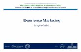 Aula da Disciplina "Experience Marketing I" do i-MBA em Gestão de Negócios, Mercados e Projetos Interativos - Professora Mayra Galha