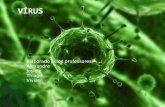 Apresentação sobre virus para o curso mgme