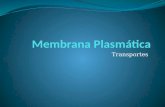 Membrana plasmática   prof. delminda