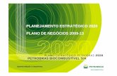 Planejamento Estratégico - Petrobras