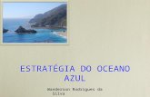 Oceano Azul Livre 19042010
