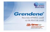 Grendene - Reunião APIMEC 2008