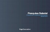Page Executive - Estudo de Remuneração Presidentes e Diretores Executivos 2013
