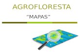Agrofloresta 2013   mapas - beatles