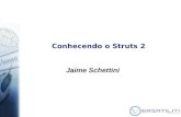 Conhecendo o Struts 2 - Java Tech Day 2007