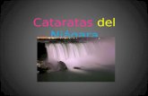 Cataratas Del NiáGara