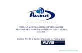 Vant regularização no Brasil Avanzi