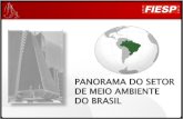 Panorama do setor de meio ambiente do brasil