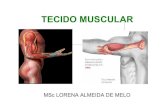 Fisiologia Humana 4 - Tecido Muscular