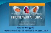 V Diretrizes Brasileiras de Hipertensão Arterial