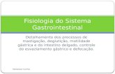 Fisiologia do sistema gastrointestinal
