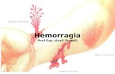 Hemorragia med7002 2004_2