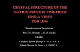 Proteina vp40