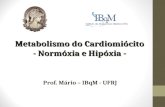 4 Metabolísmo do Cardiomiócito Normoxia e  Hipóxia