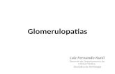 Glomerulopatias - para alunos medicina