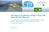 DSD-NL 2014 - NGHS Flexible Mesh - CB&I pilot 3D lagune modeling using ADCP measurements, Arnold van Rooijen, Deltares