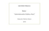 Gestión Pública Administración Pública Gobierno Perú Giancarlo Merino Alama