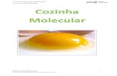 Gastronomia Molecular... Ciência na cozinha