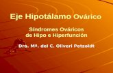 6.  eje hipotalamo ovarico