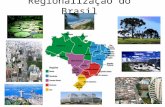 Regionalização do Brasil (IBGE)