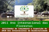 Proposta ano das florestas 1.1