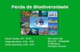 Perda de biodiversidade (1)