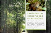 Unidades de conservação na amazônia