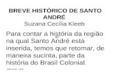 Breve HistóRico De Santo André