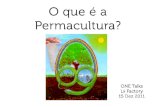 ONE Talks * Permacultura * Filipe Alves