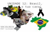 BRASIL: IBGE, IDH, Formação da sociedade brasileira
