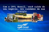 CPFL - Paulo Sérgio Javorski - Oportunidades para a Indústria