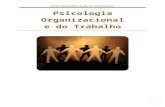 Psicologia Organizacional 1