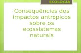 Impactos antrópicos nos ecossistemas