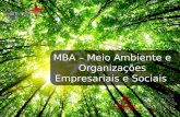 MBA – Meio Ambiente e Organizações Empresariais e Sociais - Pós Educa+ EAD