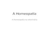 A homeopatia na veterinária