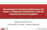 T39 tcc financiamento ao empreendedorismo no brasil – o papel do investimento anjo no fomento de novos negócios_alberto sansiviero jr